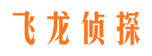 定陶资产调查